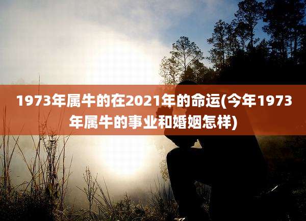1973年属牛的在2021年的命运(今年1973年属牛的事业和婚姻怎样)