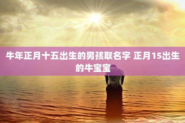 牛年正月十五出生的男孩取名字 正月15出生的牛宝宝