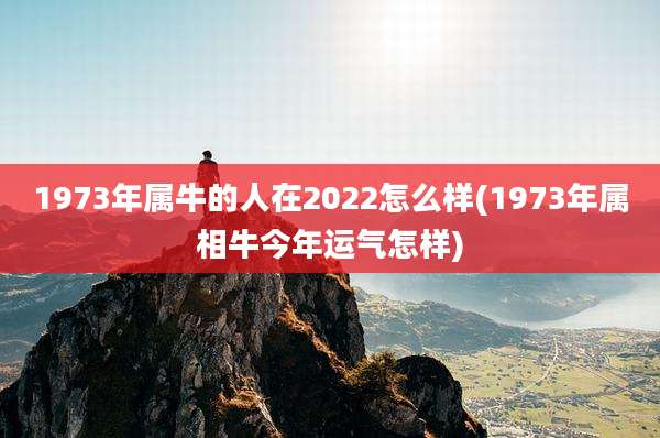 1973年属牛的人在2022怎么样(1973年属相牛今年运气怎样)