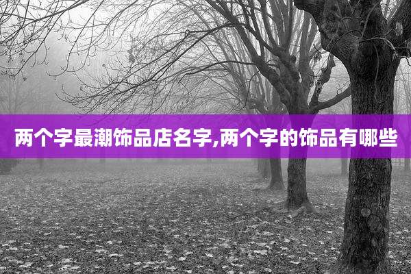 两个字最潮饰品店名字,两个字的饰品有哪些