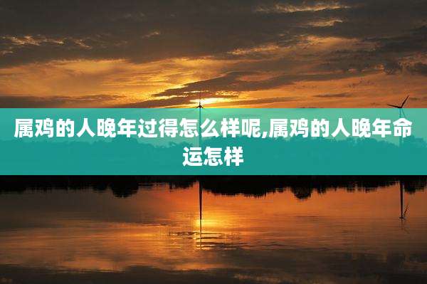 属鸡的人晚年过得怎么样呢,属鸡的人晚年命运怎样