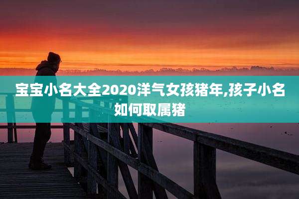 宝宝小名大全2020洋气女孩猪年,孩子小名如何取属猪