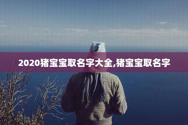 2020猪宝宝取名字大全,猪宝宝取名字