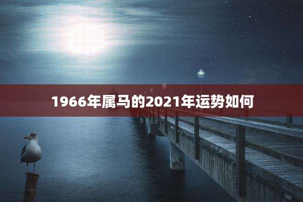 1966年属马的2021年运势如何