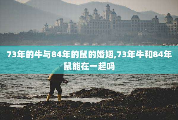 73年的牛与84年的鼠的婚姻,73年牛和84年鼠能在一起吗