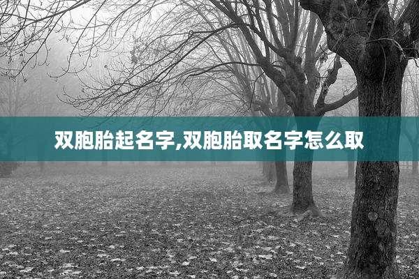 双胞胎起名字,双胞胎取名字怎么取