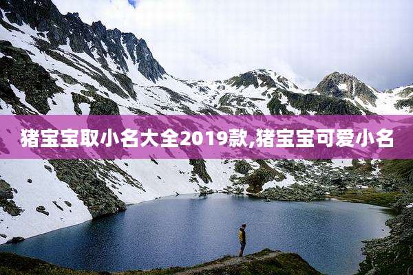 猪宝宝取小名大全2019款,猪宝宝可爱小名