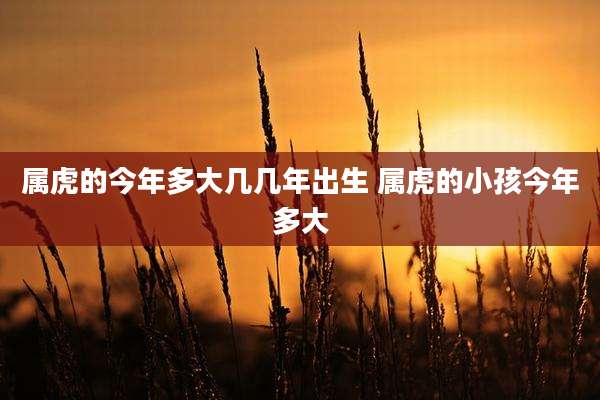 属虎的今年多大几几年出生 属虎的小孩今年多大