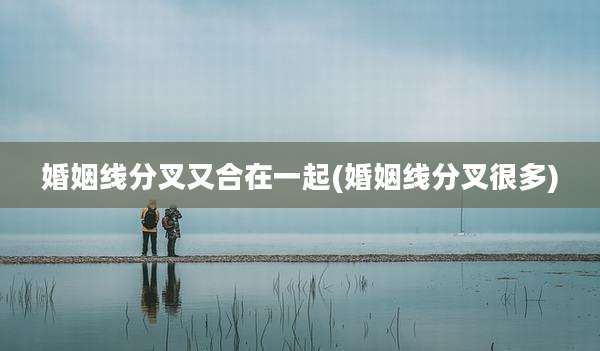 婚姻线分叉又合在一起(婚姻线分叉很多)