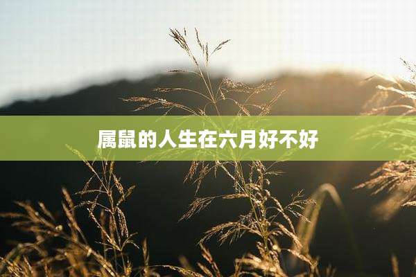 属鼠的人生在六月好不好