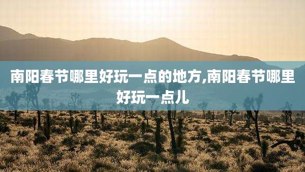 南阳春节哪里好玩一点的地方,南阳春节哪里好玩一点儿