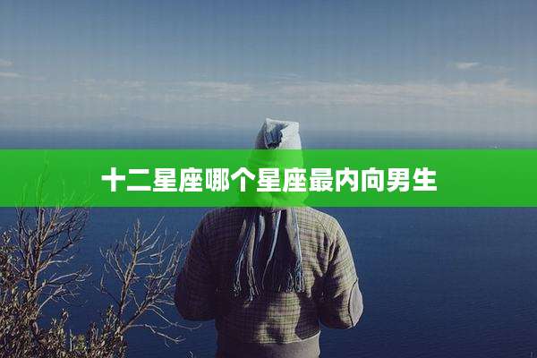 十二星座哪个星座最内向男生