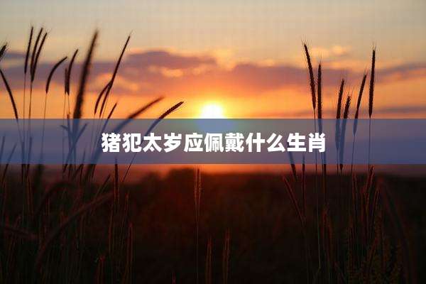 猪犯太岁应佩戴什么生肖