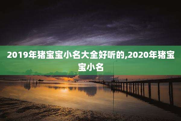 2019年猪宝宝小名大全好听的,2020年猪宝宝小名