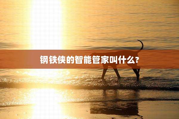 钢铁侠的智能管家叫什么?