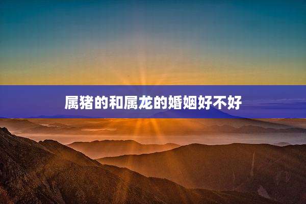 属猪的和属龙的婚姻好不好