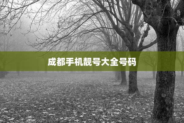成都手机靓号大全号码