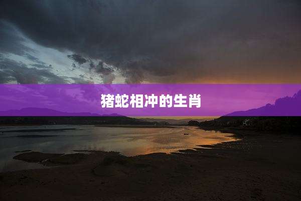 猪蛇相冲的生肖