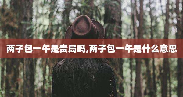 两子包一午是贵局吗,两子包一午是什么意思