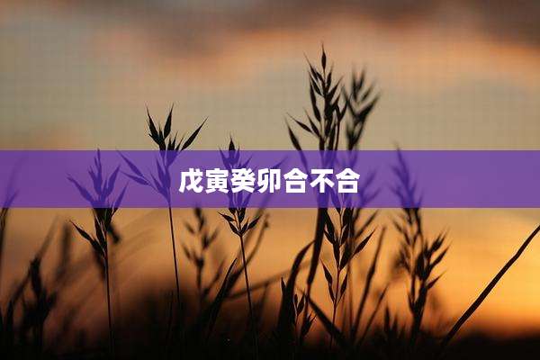 戊寅癸卯合不合