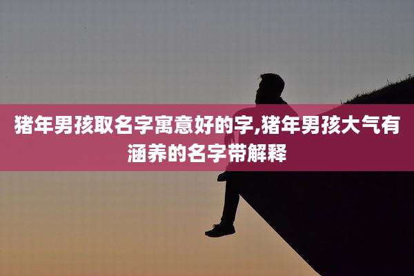 猪年男孩取名字寓意好的字,猪年男孩大气有涵养的名字带解释