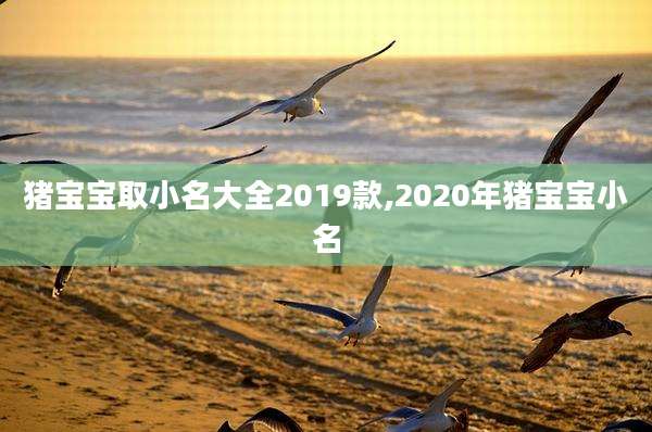 猪宝宝取小名大全2019款,2020年猪宝宝小名