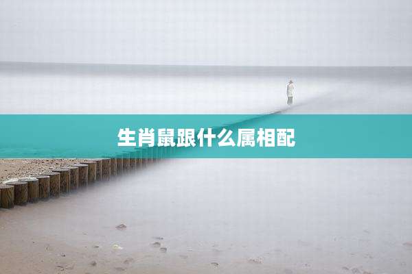 生肖鼠跟什么属相配