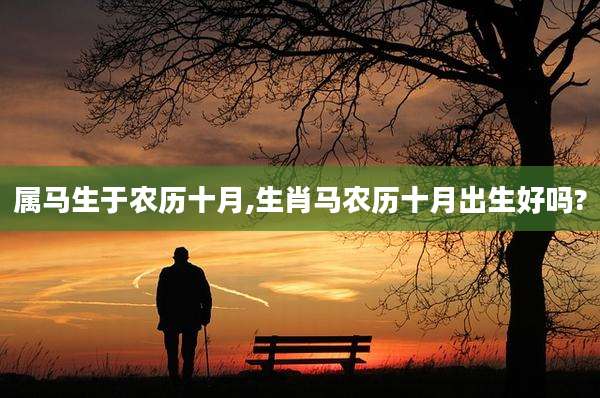 属马生于农历十月,生肖马农历十月出生好吗?