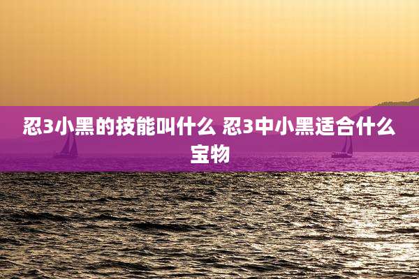 忍3小黑的技能叫什么 忍3中小黑适合什么宝物