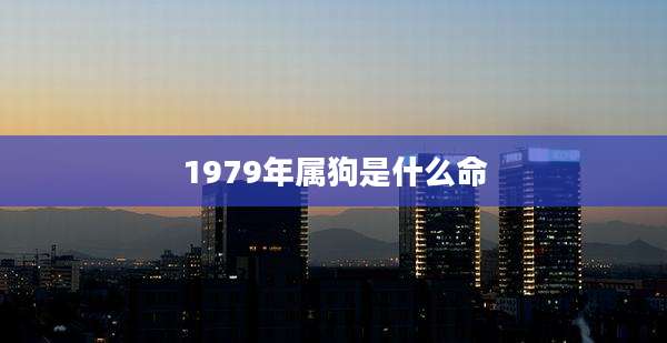 1979年属狗是什么命