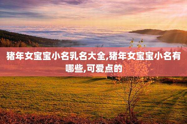 猪年女宝宝小名乳名大全,猪年女宝宝小名有哪些,可爱点的