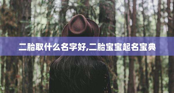 二胎取什么名字好,二胎宝宝起名宝典
