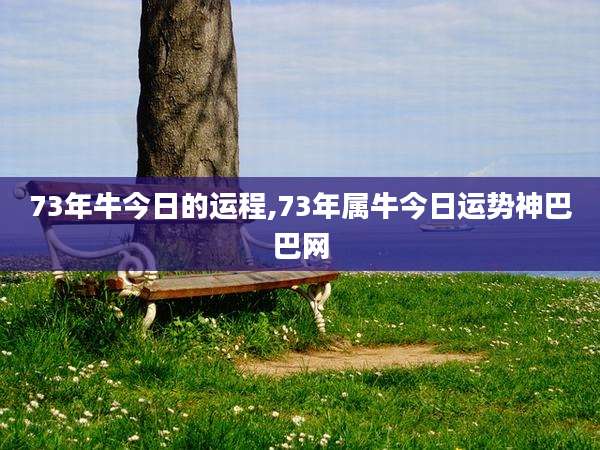 73年牛今日的运程,73年属牛今日运势神巴巴网
