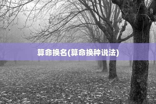 算命换名(算命换种说法)