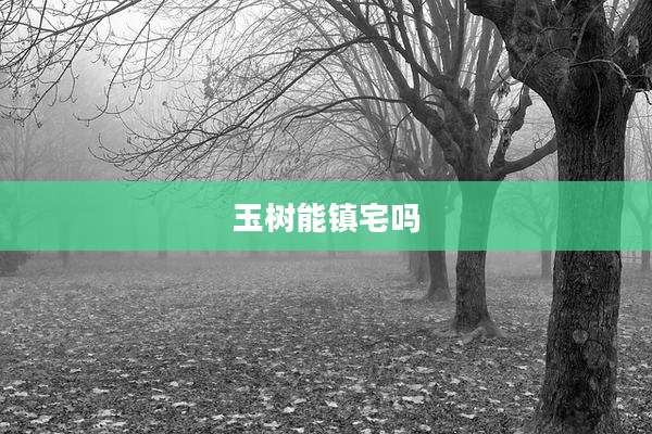 玉树能镇宅吗