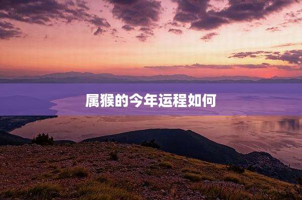 属猴的今年运程如何