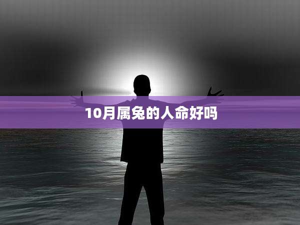 10月属兔的人命好吗