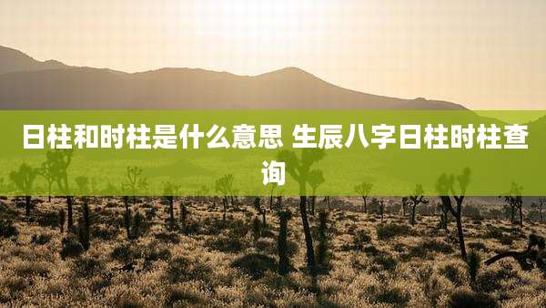 日柱和时柱是什么意思 生辰八字日柱时柱查询