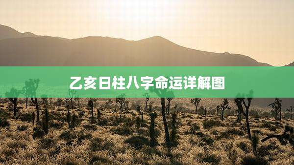 乙亥日柱八字命运详解图