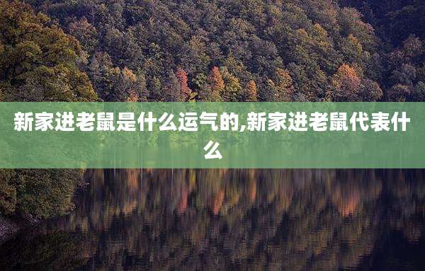 新家进老鼠是什么运气的,新家进老鼠代表什么