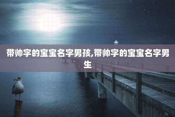 带帅字的宝宝名字男孩,带帅字的宝宝名字男生