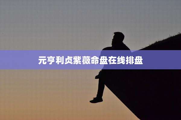 元亨利贞紫薇命盘在线排盘