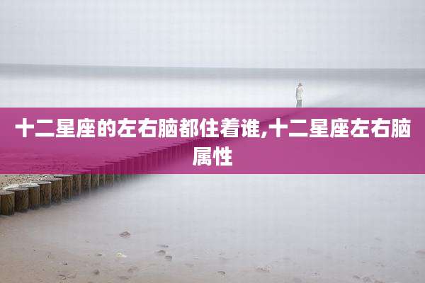 十二星座的左右脑都住着谁,十二星座左右脑属性