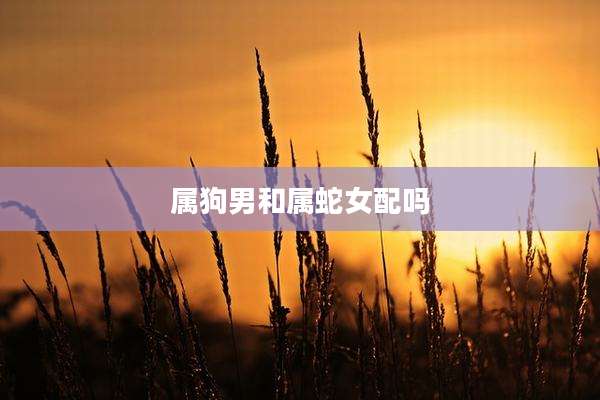属狗男和属蛇女配吗
