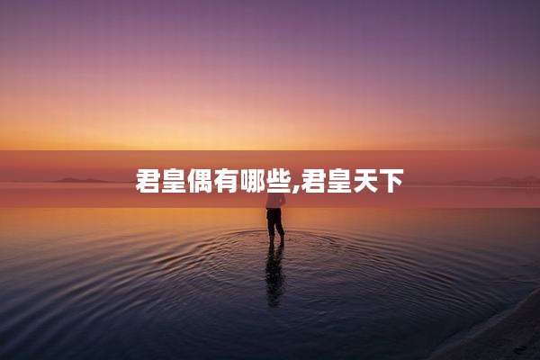 君皇偶有哪些,君皇天下