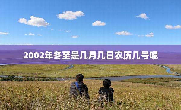 2002年冬至是几月几日农历几号呢