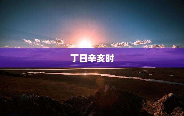 丁日辛亥时