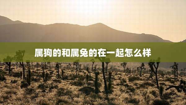 属狗的和属兔的在一起怎么样