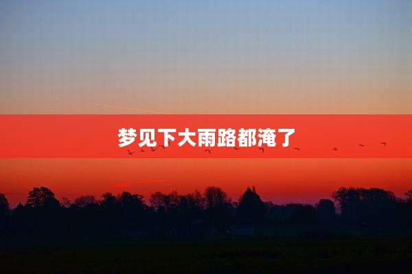 梦见下大雨路都淹了