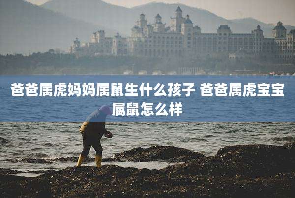 爸爸属虎妈妈属鼠生什么孩子 爸爸属虎宝宝属鼠怎么样